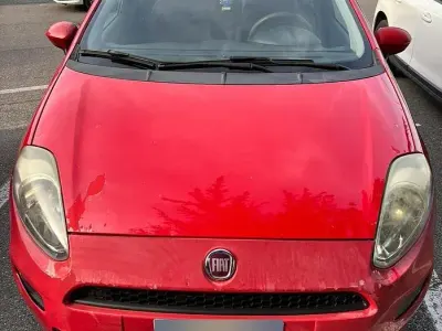 Usata Fiat Punto 77 CV (56 kW) 2013 Rosso Utilitaria