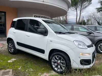 Usata Fiat Panda 4x4 Climbing 69 CV (50 kW) 2016 Bianco Utilitaria