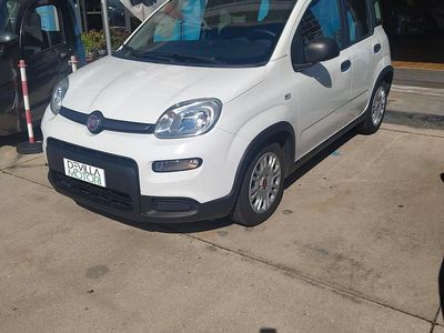 Usata Fiat Panda S 70 CV (51 kW) 2023 Bianco Utilitaria