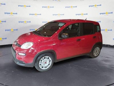 usata Fiat Panda Panda My24 1.0 70cv Hybrid