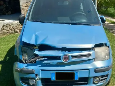 Usata Fiat Panda 77 CV (56 kW) 2012 Utilitaria