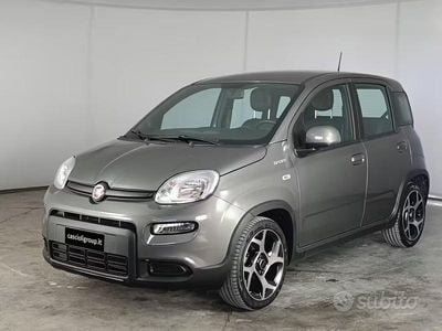 Usata Fiat Panda Sport 69 CV (50 kW) 2022 Grigio Utilitaria