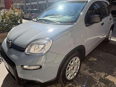 Usata Fiat Panda Cross