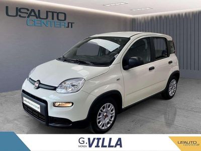 Usata Fiat Panda Icon 70 CV (51 kW) 2024 Bianco Utilitaria