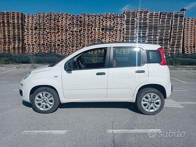 Usata Fiat Panda Lounge 85 CV (62 kW) 2013 Bianco Utilitaria