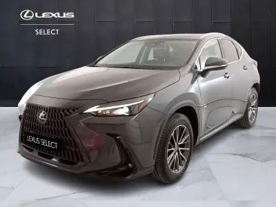 Usata Lexus NX450h+