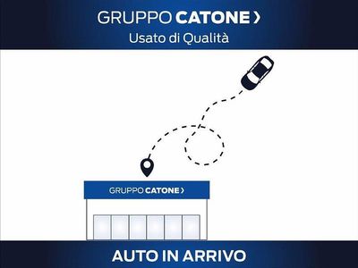 Usata Fiat Panda 4x4 S 95 CV (69 kW) 2017 Utilitaria