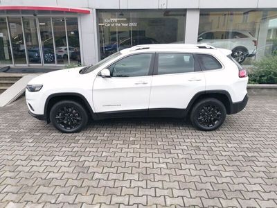 usata Jeep Cherokee 2.2 Mjt AWD Active Drive I Limited IVA ESPOSTA