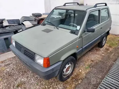 Usata Fiat Panda 4x4 50 CV (36 kW) 2002 Verde Utilitaria