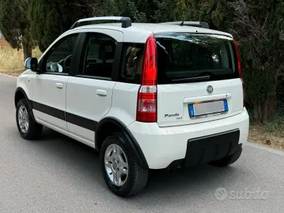 Usata Fiat Panda 4x4 69 CV (50 kW) 2010 Bianco Utilitaria
