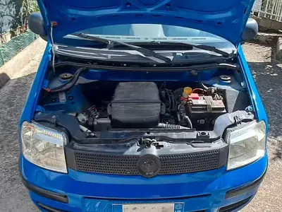 Usata Fiat Panda 54 CV (39 kW) 2003 Bluazzurro Utilitaria