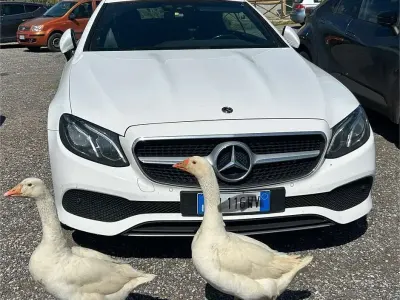Usata Mercedes E220 Business 194 CV (142 kW) 2020 Bianco Cabrio