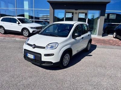 Usata Fiat Panda S 70 CV (51 kW) 2024 Bianco Utilitaria