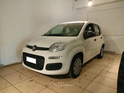 Nuova Fiat Panda Icon 65 CV (47 kW) 2026 Bianco Utilitaria