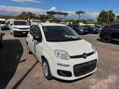 Usata Fiat Panda Easy 69 CV (50 kW) 2020 Other Utilitaria