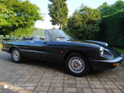 Usata Alfa Romeo Spider 104 CV (76 kW) 1984 Cabrio