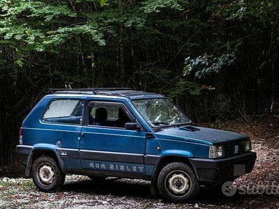 Usata Fiat Panda 1989 Blu Berlina