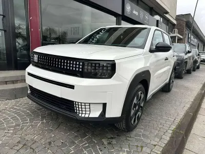 Usata Fiat Grande Panda