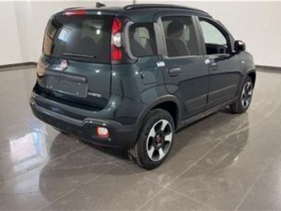 usata Fiat Panda Cross Cross 1.0 FireFly S&S Hybrid nuovo