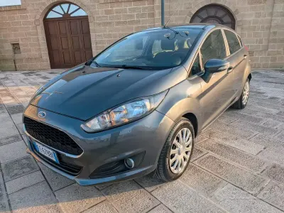 Usata Ford Fiesta Business Edition 92 CV (67 kW) 2016 Grigio Utilitaria