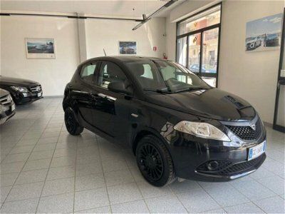 usata Lancia Ypsilon 1.2 69 CV 5 porte S&S Elefantino Blu usato