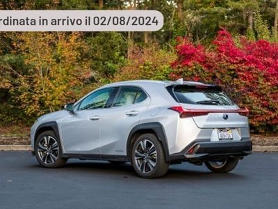 usata Lexus UX UX 300h300h 4WD F-Design