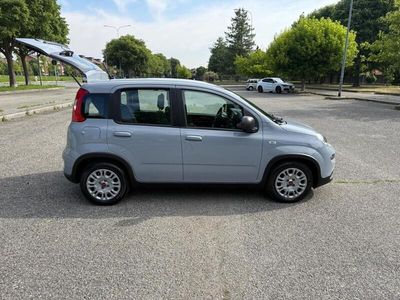 Usata Fiat Panda City Life 70 CV (51 kW) 2023 Grigio Utilitaria