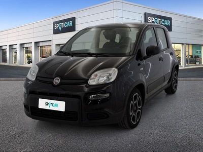 usata Fiat Panda 1.0 FireFly 70cv S&S Hybrid City Life