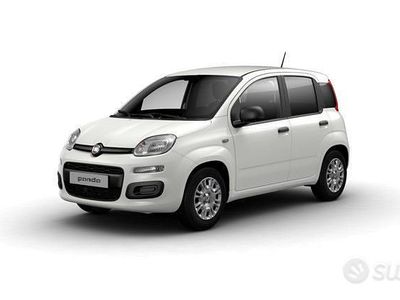 Usata Fiat Panda S 2024 Bianco Utilitaria