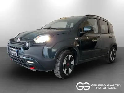 Usata Fiat Panda Cross Cross 70 CV (51 kW) 2024 Verde Utilitaria