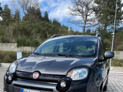 Usata Fiat Panda Cross Cross 95 CV (69 kW) 2018 Grigio Utilitaria
