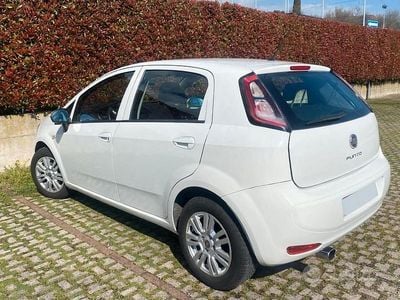 Usata Fiat Punto 2015 Bianco Utilitaria