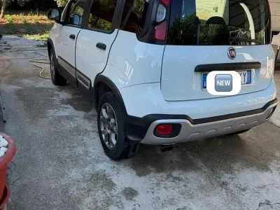 Usata Fiat Panda Cross 75 CV (55 kW) 2013 Utilitaria