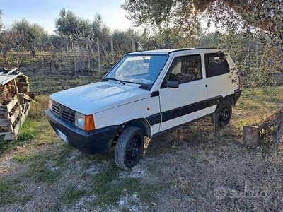 Usata Fiat Panda 4x4 54 CV (39 kW) 2000 Bianco Utilitaria
