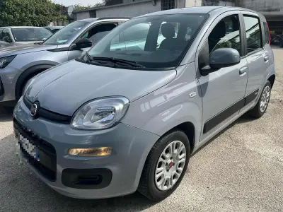 Usata Fiat Panda S 69 CV (50 kW) 2022 Vari colori Utilitaria