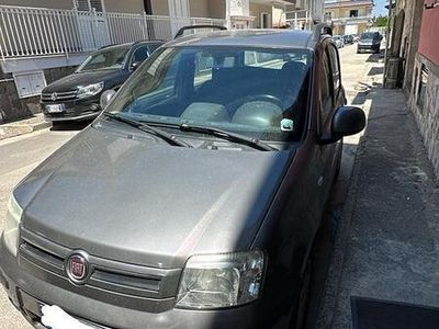 Usata Fiat Panda 60 CV (44 kW) 2010 Grigio Utilitaria