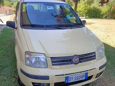 Usata Fiat Panda Dynamic 69 CV (50 kW) 2009 Giallo Utilitaria
