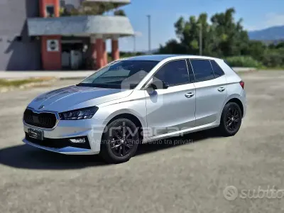 Usata Skoda Fabia