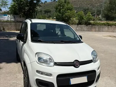 Usata Fiat Panda 85 CV (62 kW) 2015 Bianco Utilitaria