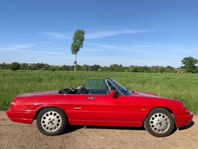 usata Alfa Romeo Spider Duetto 1.6 Carburatori ASI cert.Alfa