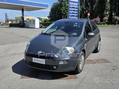 Usata Fiat Punto Street 69 CV (50 kW) 2016 Grigio Utilitaria