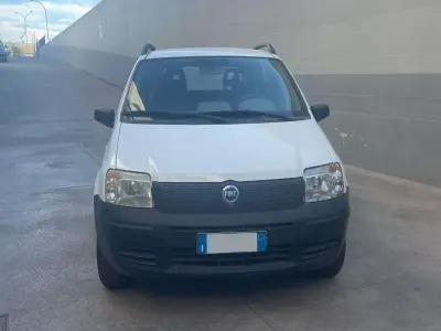 Usata Fiat Panda 4x4 Active 60 CV (44 kW) 2007 Bianco Utilitaria