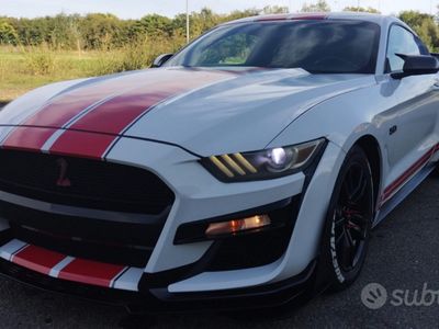 usata Ford Mustang GT Mustang 2.3 ecoboost Shelby