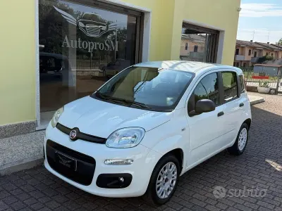 Usata Fiat Panda Easy 69 CV (50 kW) 2020 Bianco Utilitaria