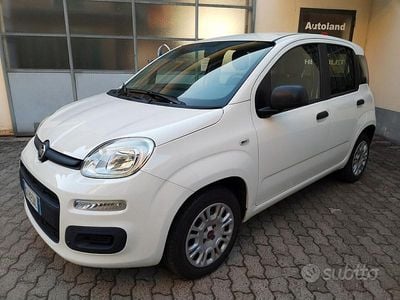 Usata Fiat Panda Easy 69 CV (50 kW) 2020 Bianco Utilitaria