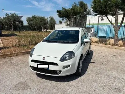 Usata Fiat Punto Lounge 70 CV (51 kW) 2014 Bianco Utilitaria