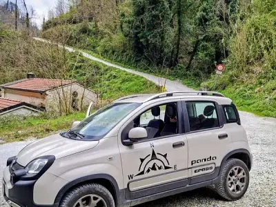Usata Fiat Panda Cross