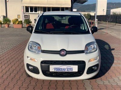 usata Fiat Panda 4x4 1.3 MJT Pop Van 2 posti usato