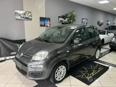 Usata Fiat Panda Easy 69 CV (50 kW) 2018 Grigio Utilitaria