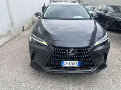 Usata Lexus NX350h 190 CV (139 kW) 2023 Grigio SUV